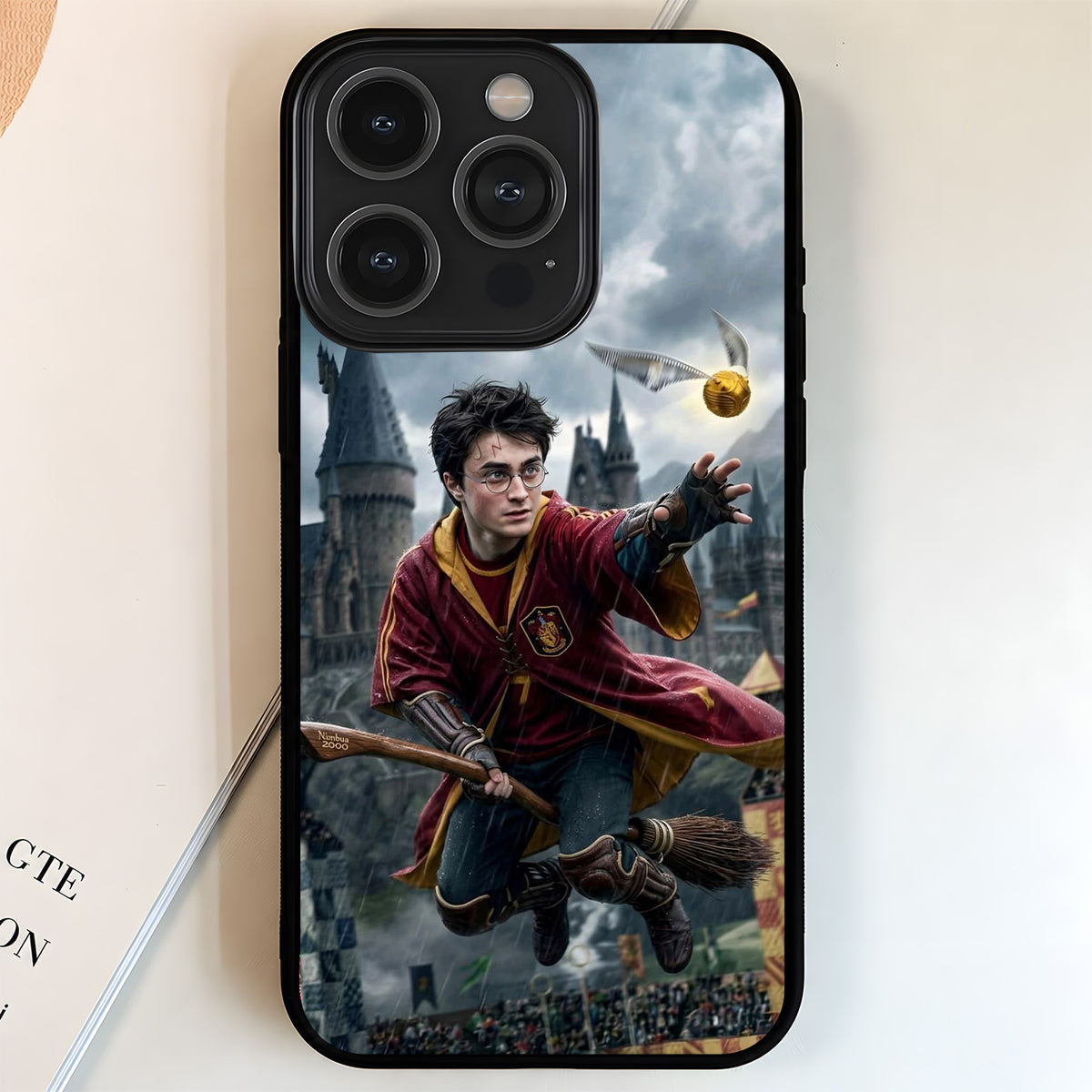 Harry Potter Snitch Chase Glass Case