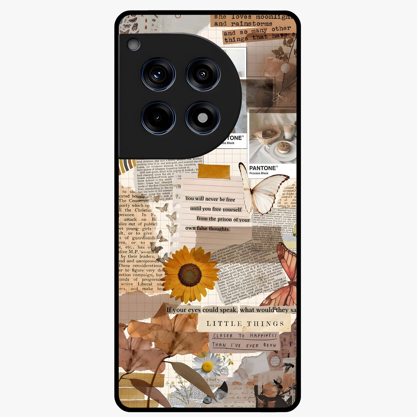 Vintage Aesthetic Collage Glass Case for 1+12R artistic front view featuring layered retro collage artwork