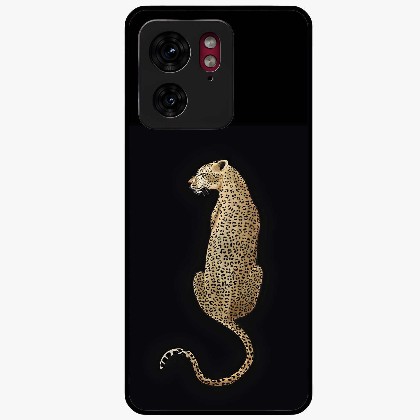 Regal Leopard Glass Case showing flat back view with bold leopard artwork and glossy glass finish.